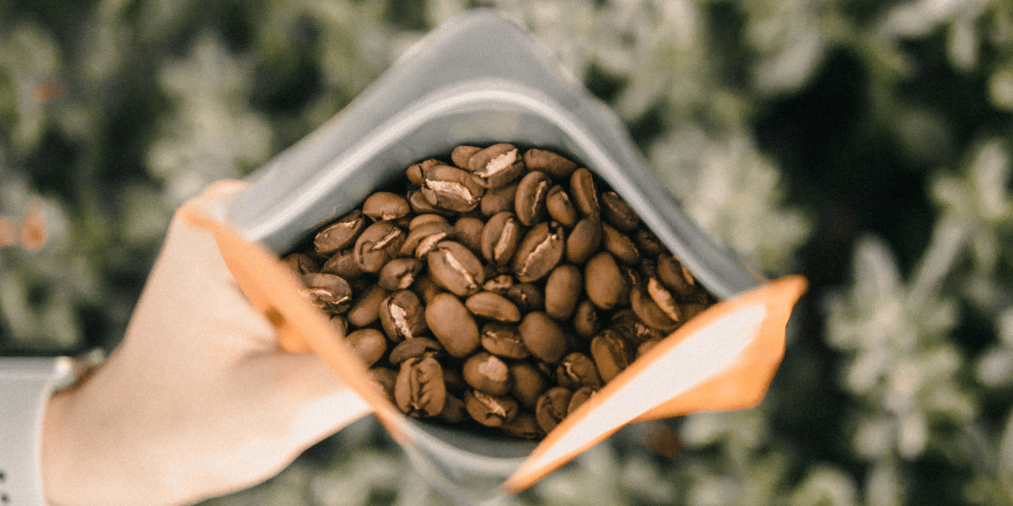 Storing coffee at home